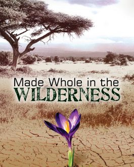Made Whole in the Wilderness